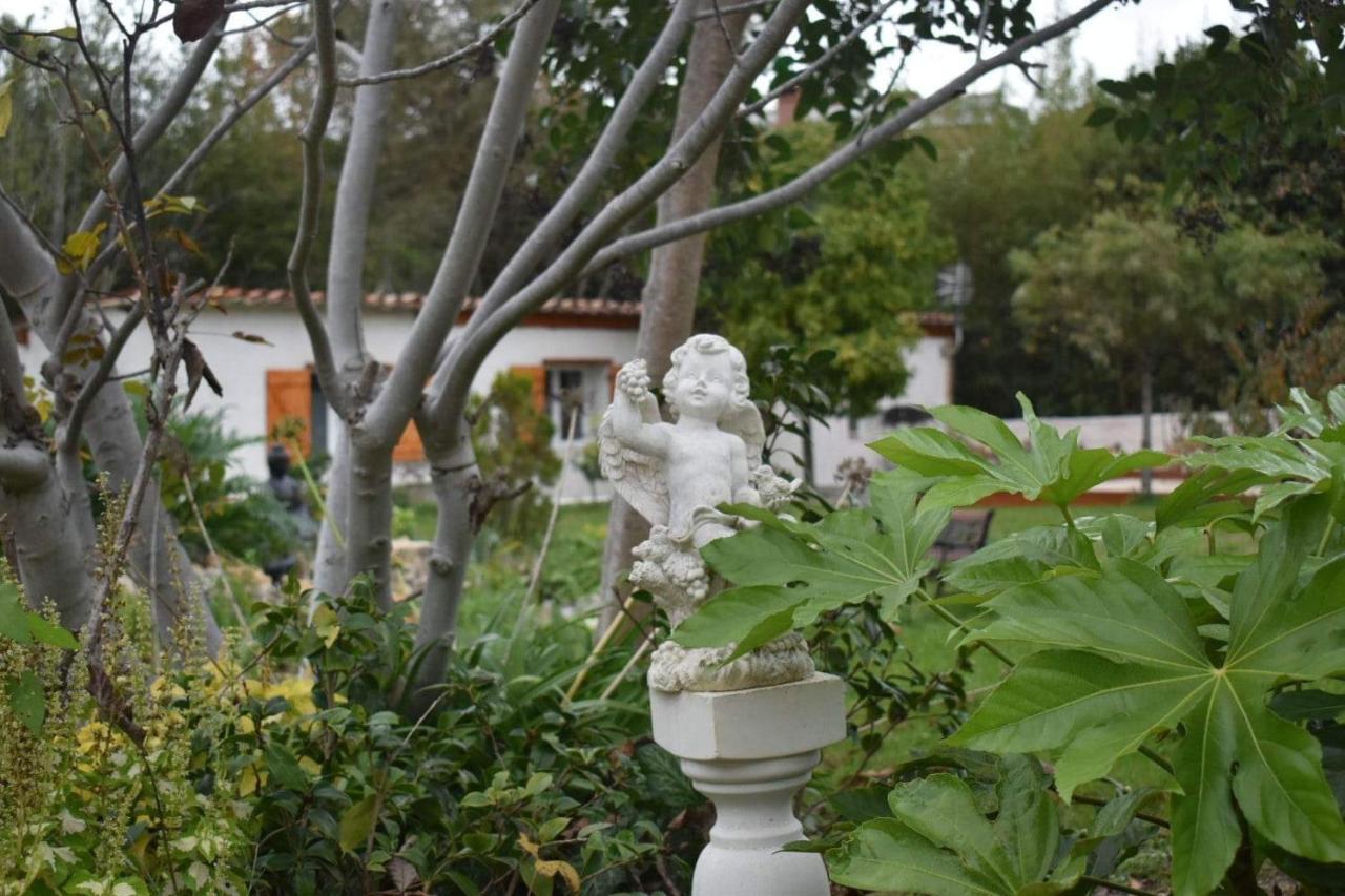 L'Oranger - Magnifique Studio Independant Sur Mougins Avec Jacuzzi Prive - Parking - Climatisation 外观 照片